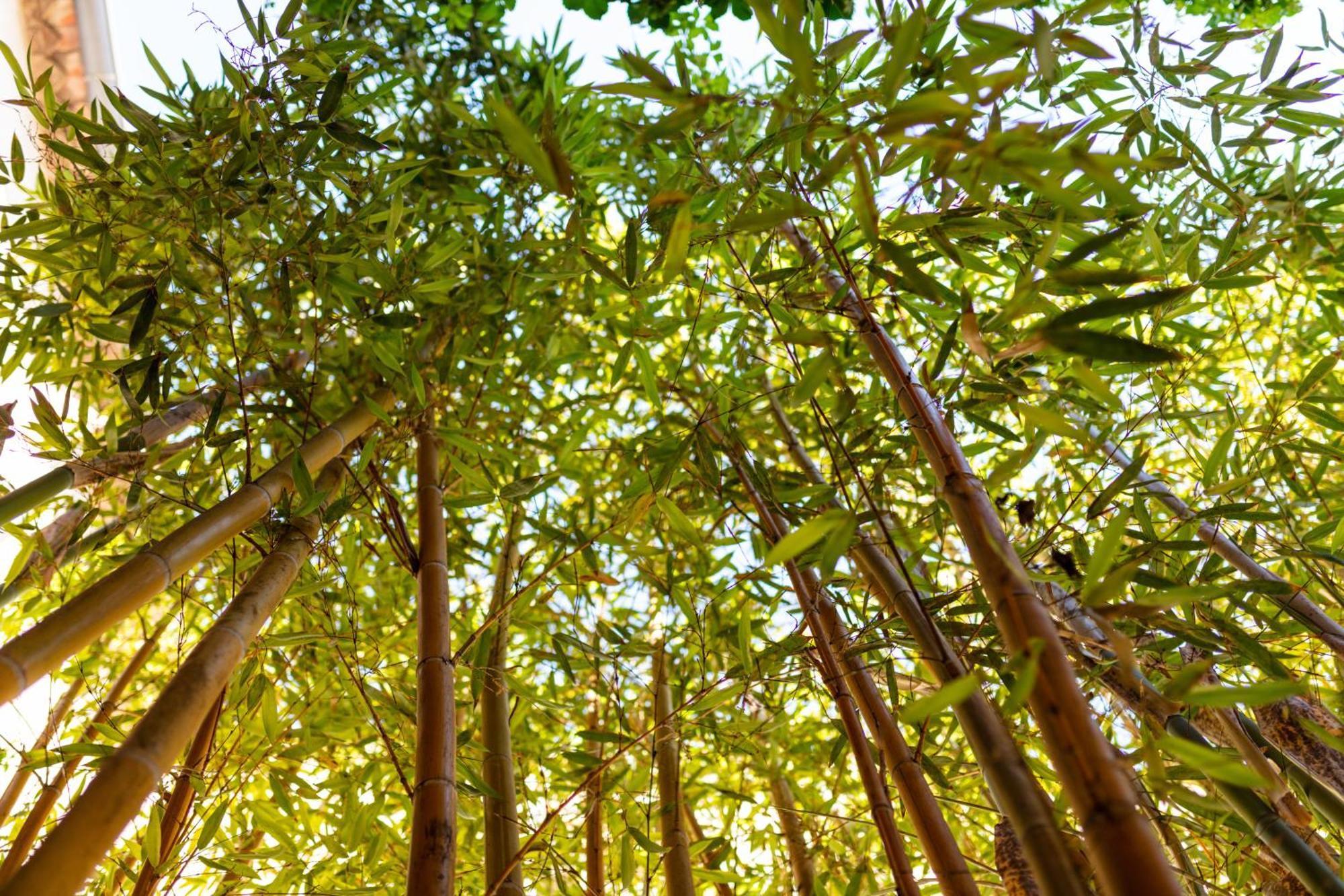 La Tour Du Terroir Acomodação com café da manhã Rivesaltes Exterior foto
