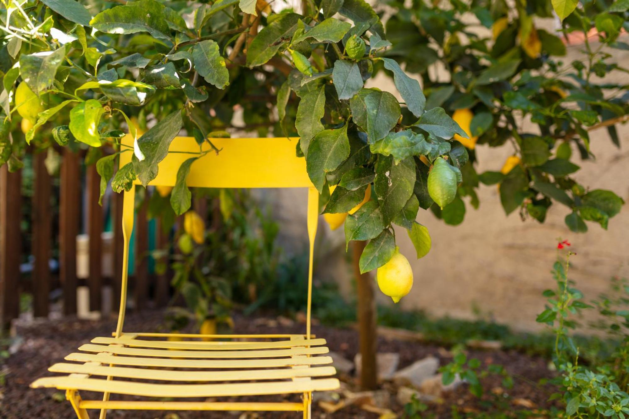 La Tour Du Terroir Acomodação com café da manhã Rivesaltes Exterior foto